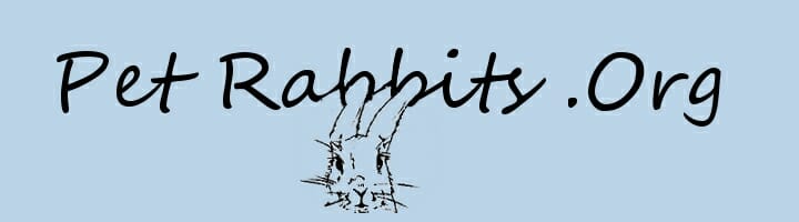Pet Rabbits.org