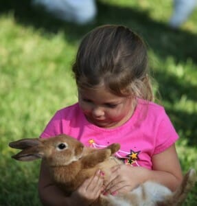 Little girl holding pet rabbit