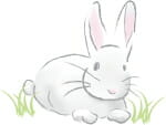 Popular Literary and Media Rabbit Characters for Kids