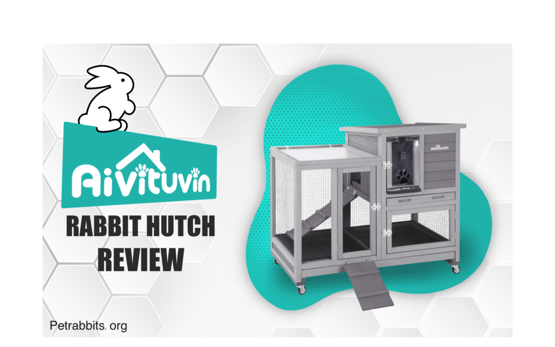 Aivituvin Rabbit Hutch Review