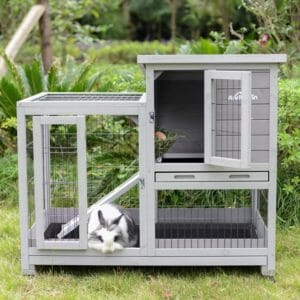 Aivituvin rabbit hutch with rabbit inside