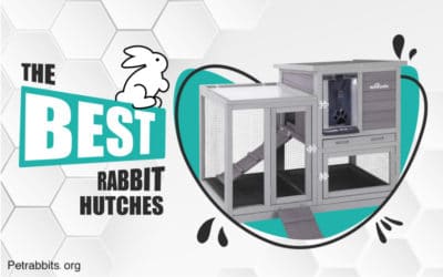 The Best Rabbit Hutches – Indoor & Outdoor
