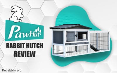 PawHut Rabbit Hutch Review