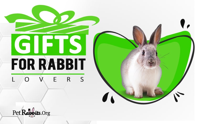 Rabbit Gift Bunny Gift Always Be Yourself Unless You Can Be A Bunny Bunny Mug Rabbit Mug |