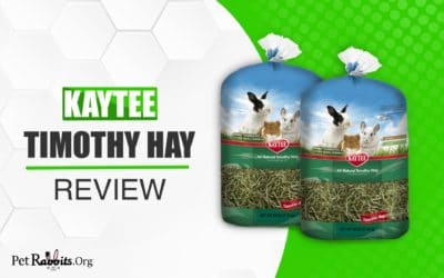 Kaytee Timothy Hay Review – Food For Small Pets