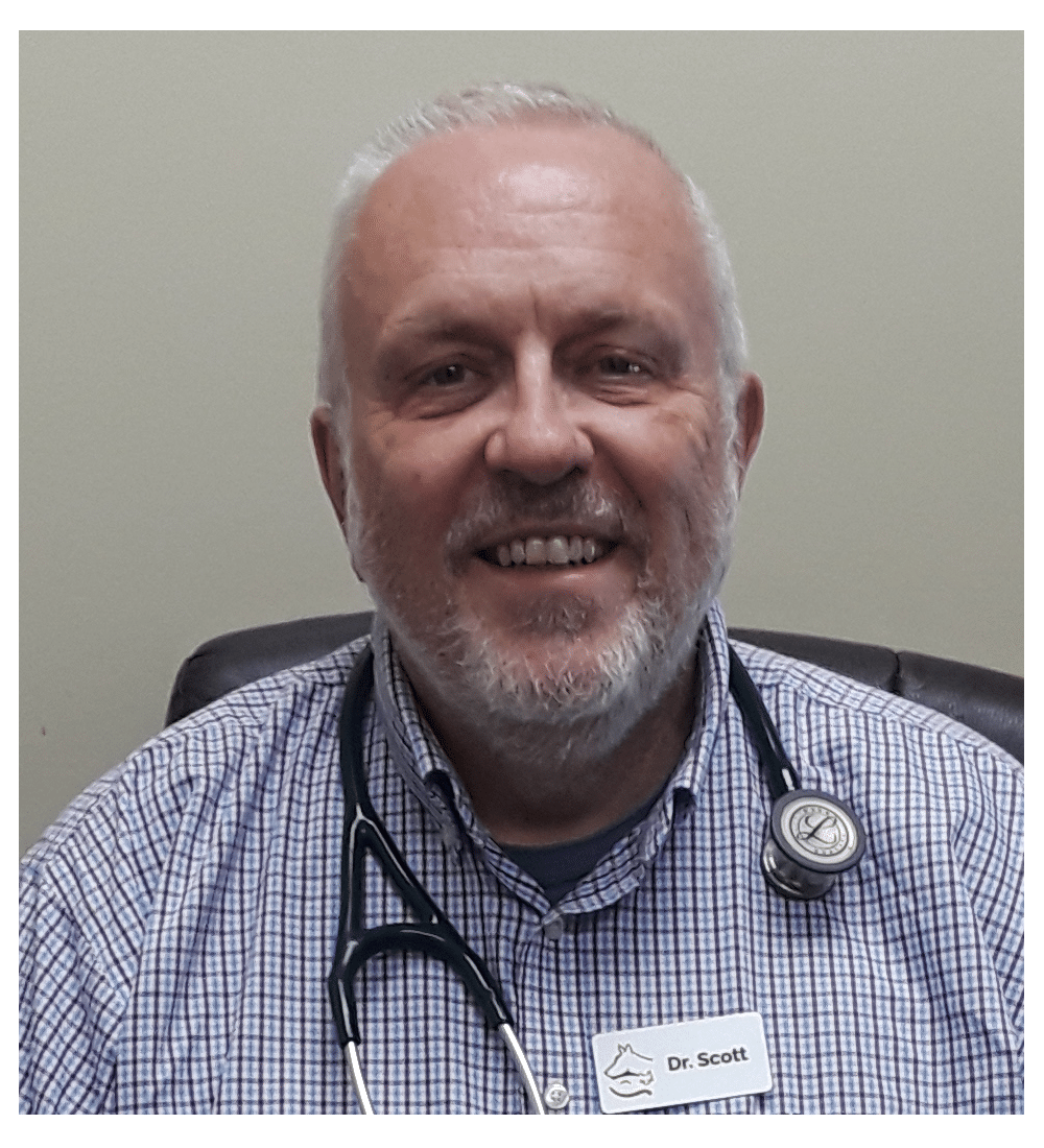 Dr scott - rabbit veterinarian