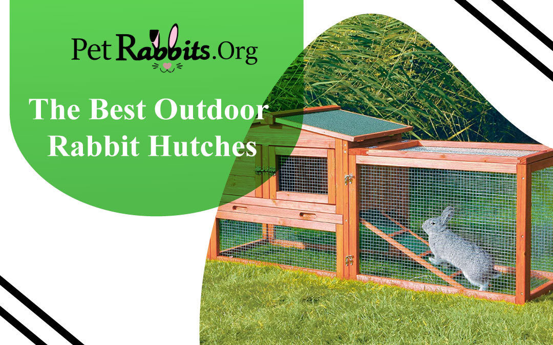 The Best Outdoor Rabbit Hutches