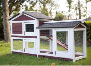 Kinbor Outdoor Rabbit Hutch