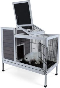 Petsfit Outdoor Rabbit Hutch