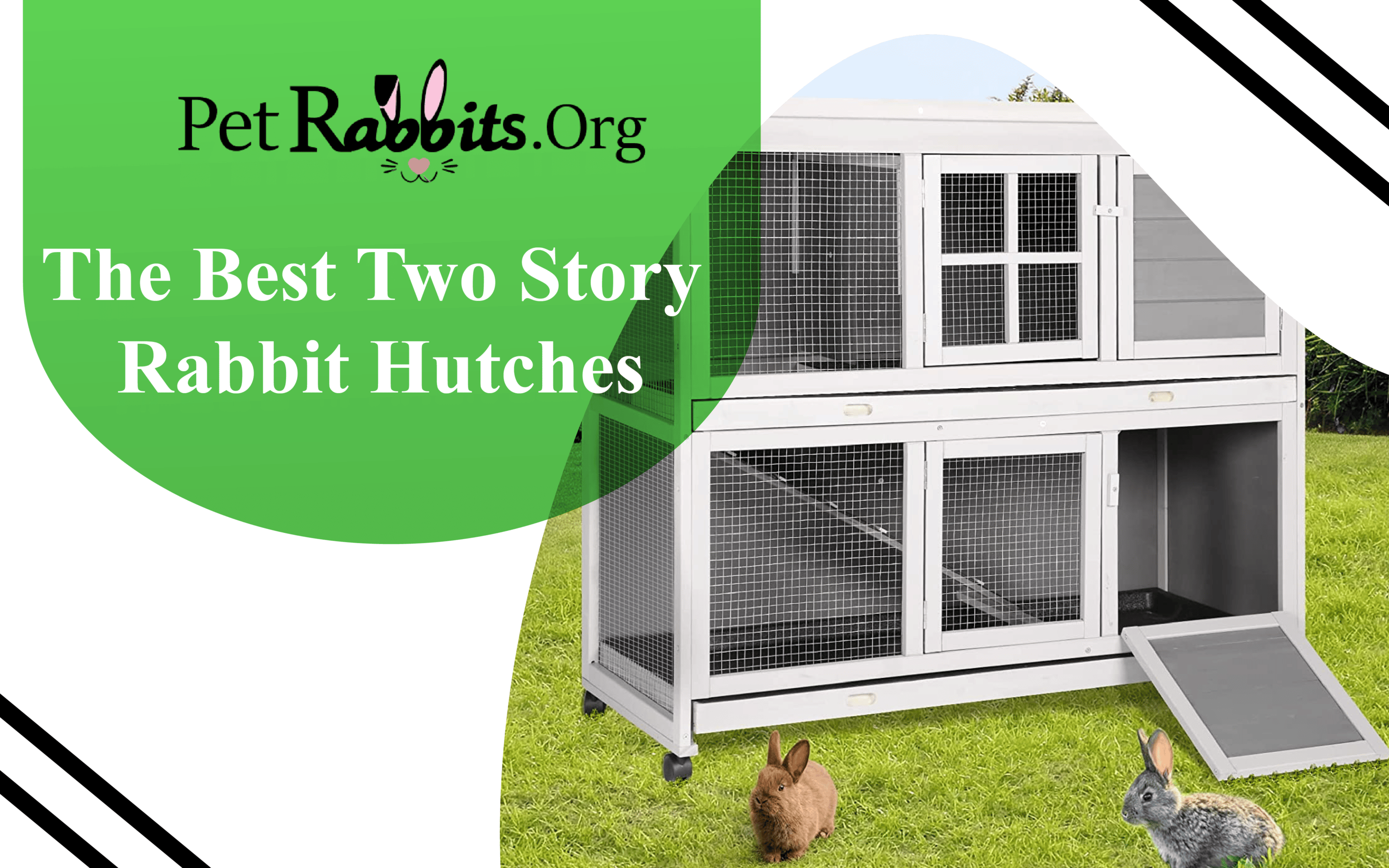 The Best Two Story Rabbit Hutches Petrabbits