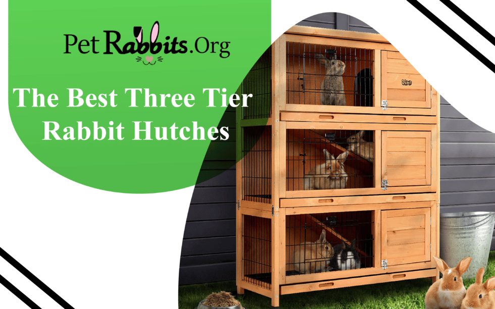 The Best Three Tier Rabbit Hutches Pet Rabbits